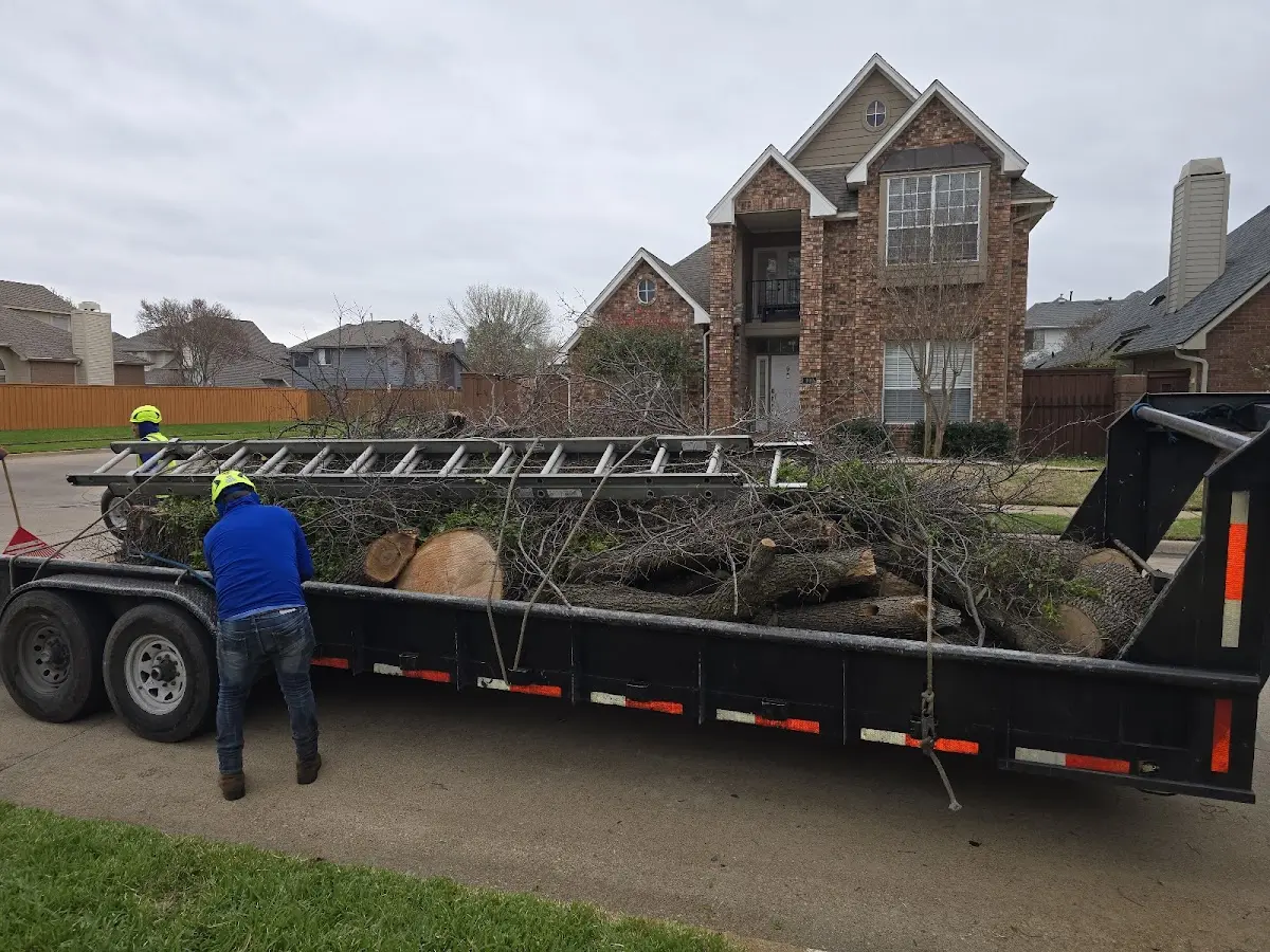 Expert Tree Pest Control with proper safety equipment in Warwick